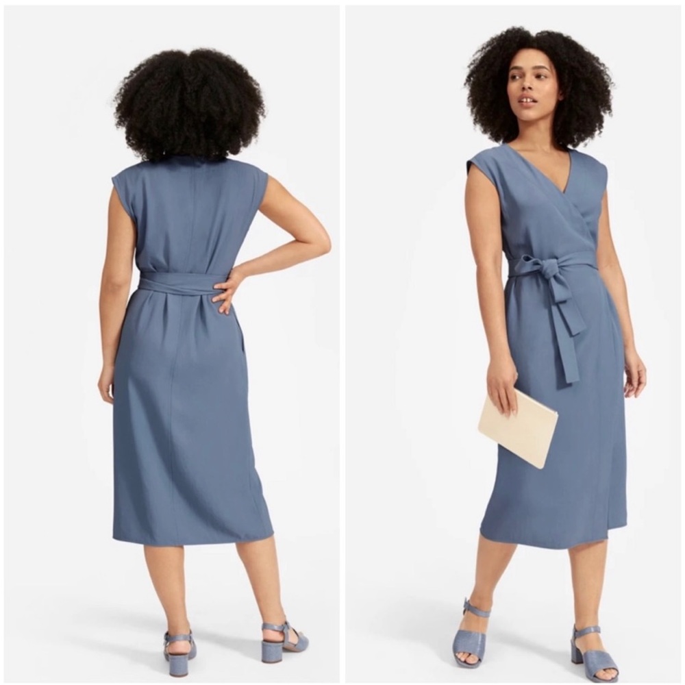 Everlane Japanese Go Weave Wrap Dress Sz 8 Blue